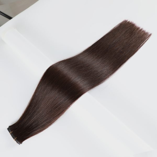 Genius Weft Seamless Invisible Human Hair Extension 2#