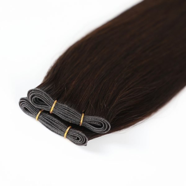 Genius Weft Seamless Invisible Human Hair Extension 2#